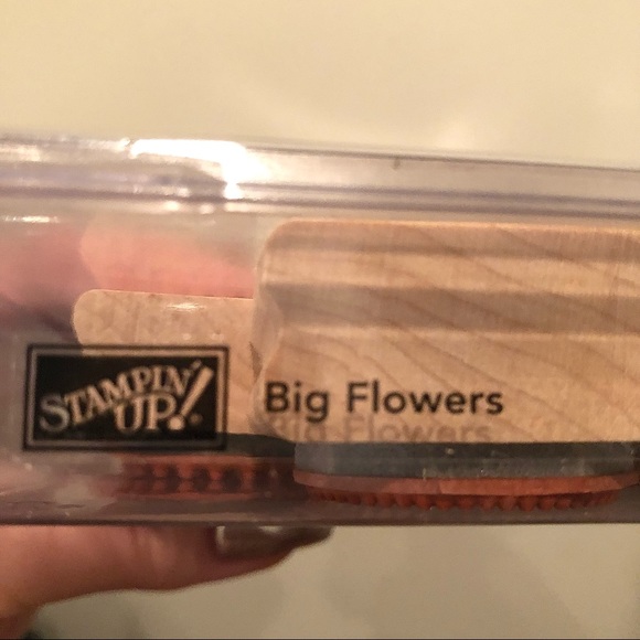 STAMPN’ UP - Rubber Stamps - Picture 3 of 3